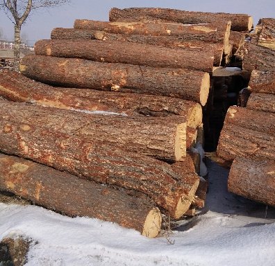 在德国木材行业面临着这样的严重问题！