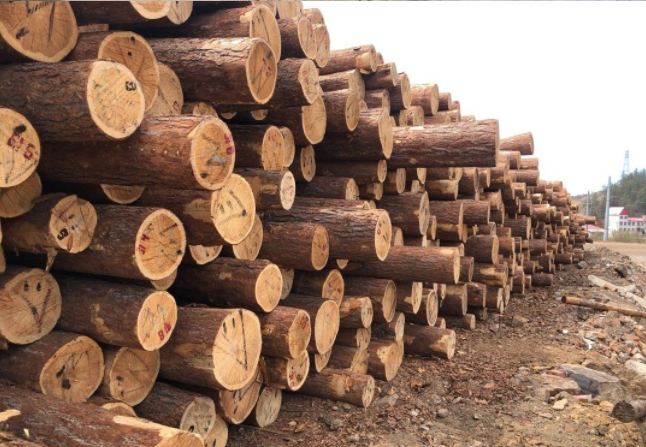 上周木材价格已崩跌达64%！木材价格还有望飙升