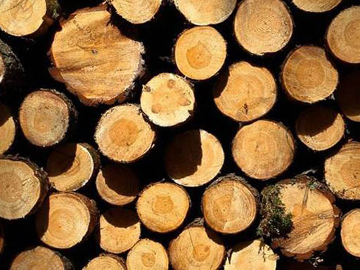 木材防霉剂常见问题