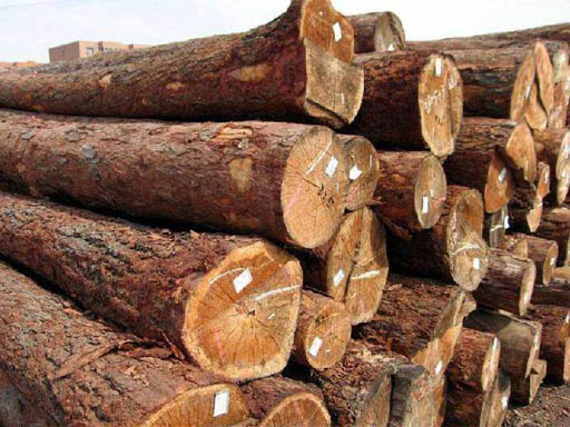 2019木材分类防裂方法