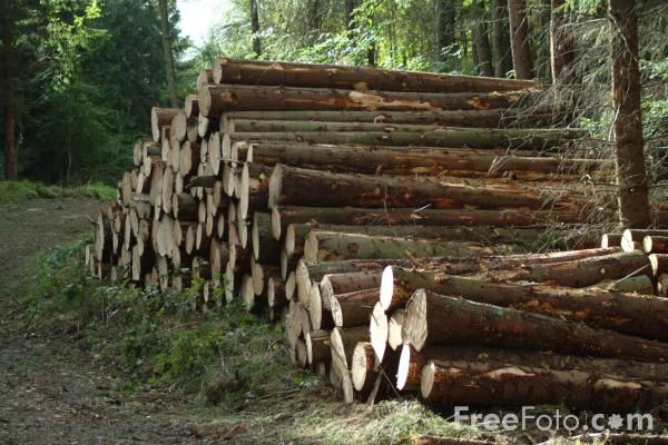木材防霉剂深受木工们喜爱