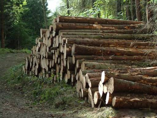2020年上半年沙捞越原木出口达到了上百万立方