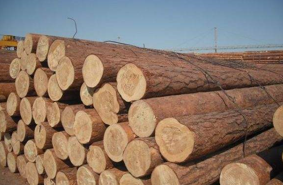 湖南对俄材及其它进口木材日益增多