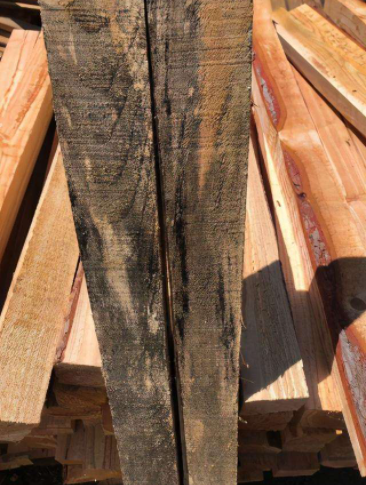 木材发霉变色的原因，这几点你知道吗？